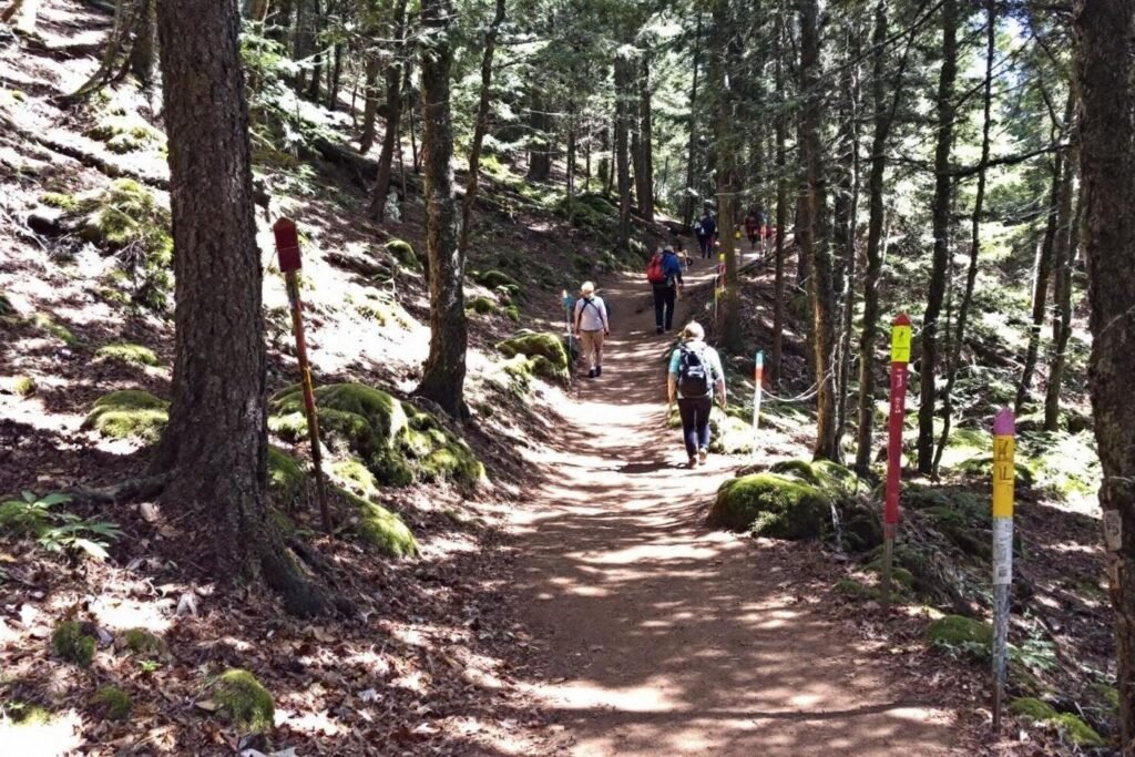 Catégorie trail distance classification : guide complet